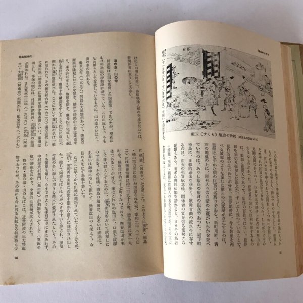 画像6: 郷土の歴史 四国編 田中歳雄 宝文館 昭和34年 (6)