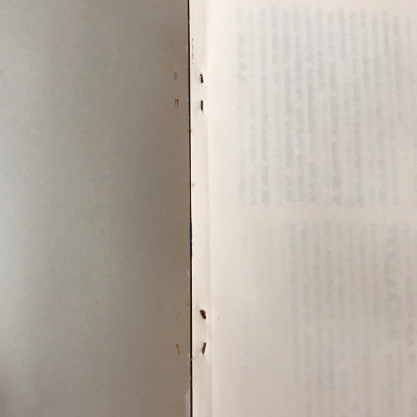 画像7: 日柳燕石研究(其の四) 相原言三郎 小林光次 昭和43年 (7)