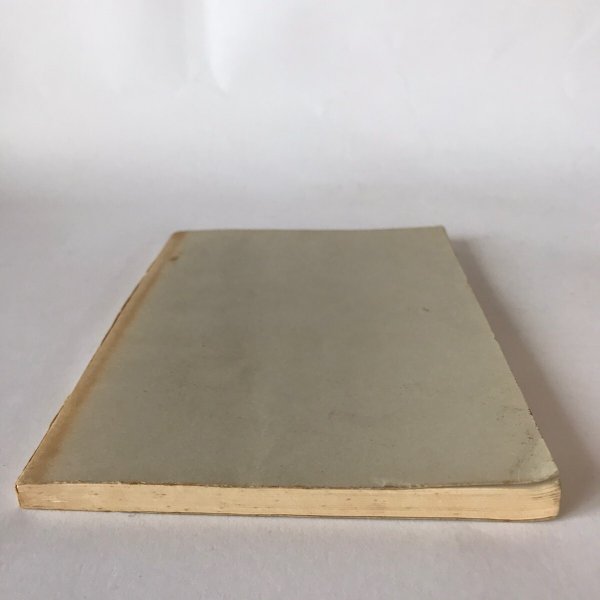 画像8: 日柳燕石研究(其の四) 相原言三郎 小林光次 昭和43年 (8)