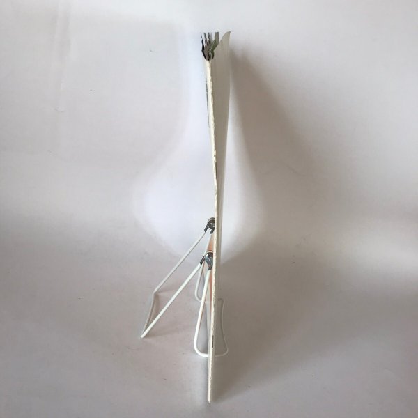 画像5: 屋島篝火歌舞伎(やしまかがりびかぶき)四国屋島源平の里 第二回 平家蟹 (5)