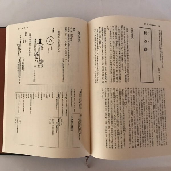 画像6: 藩史大事典 第6巻 中国・四国編 平成2年 長坂一雄 雄山閣出版 (6)