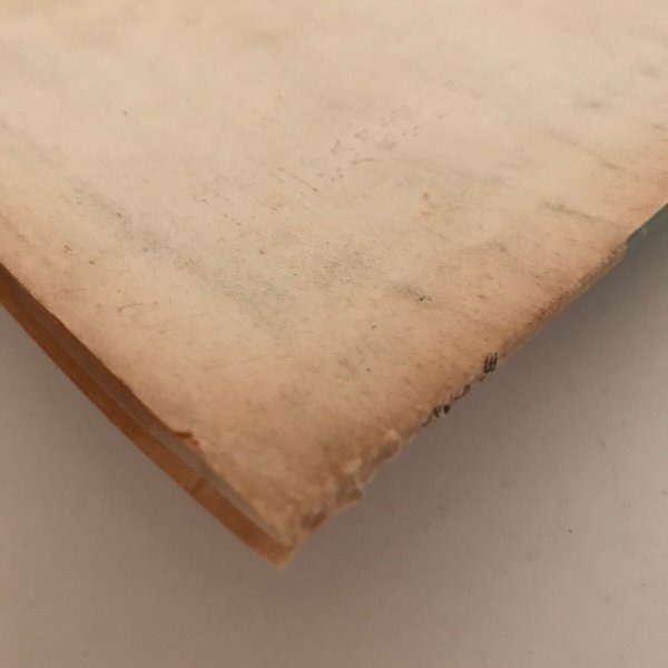 画像9: 室戸岬 昭和2年 仁尾進 室戸岬保勝会 (9)