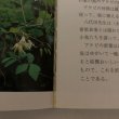 画像6: 小豆島讃花 小豆島の山野草 1994年 橋本薫 島嘉孝 (6)