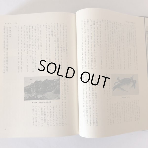 画像8: 川之江市誌 昭和59年 川之江市 川之江市誌編さん会 (8)