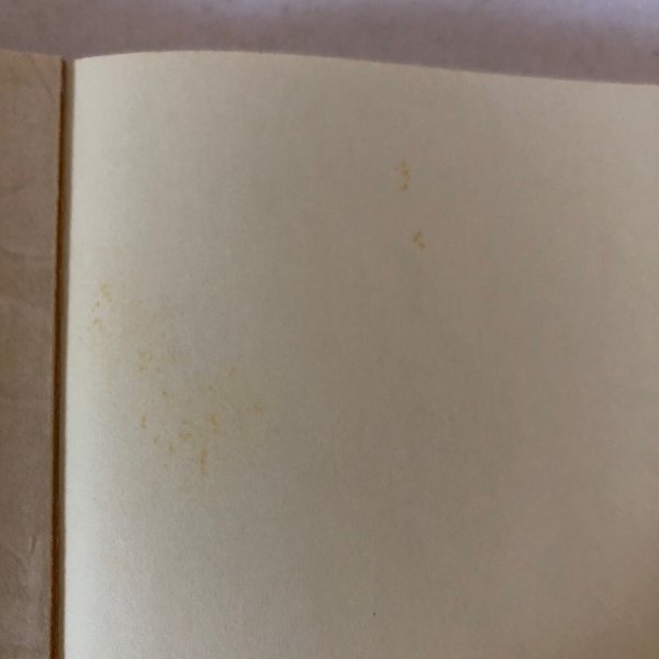 画像9: 川之江古金銀賃銭物語 昭和58年 大西芳男　 (9)