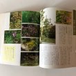 画像5: 庭と木と花と 高知の園芸ガイド カラー版 昭和61年 武井近三郎 中島暁 (5)