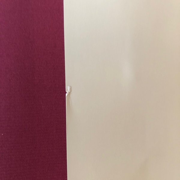 画像9: 庭と木と花と 高知の園芸ガイド カラー版 昭和61年 武井近三郎 中島暁 (9)