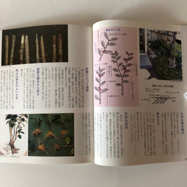 画像8: 庭と木と花と 高知の園芸ガイド カラー版 昭和61年 武井近三郎 中島暁 (8)