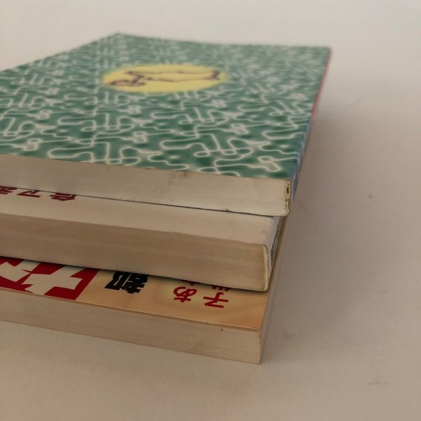 画像10: なんしょんな！！香川 都村長生の仰天提言  緊急提言 最終提言 PART1〜3 1996年 都村長生 株式会社ホットカプセル 3冊セット (10)