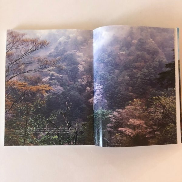 画像8: 高知の森林 1990年 山岡亮一 高知県緑の環境会議 森林研究会 高知県 (8)