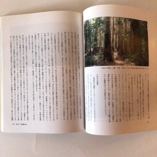 画像5: 高知の森林 1990年 山岡亮一 高知県緑の環境会議 森林研究会 高知県 (5)