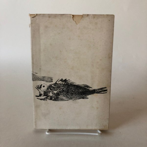 画像2: 讃岐の魚 昭和37年 一村実 香川県郷土読本刊行会 香川県 (2)