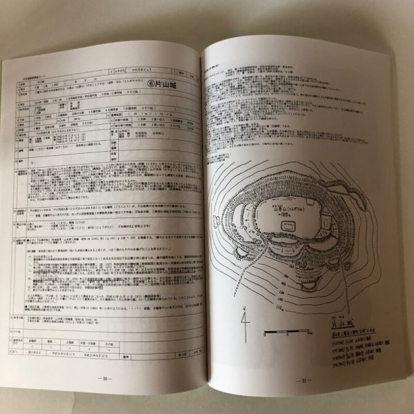 画像7: 三野町の山城 仁尾町の山城(西讃の山城 第2巻)山本祐三 香川県 (7)