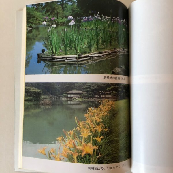 画像8: 特別名勝 栗林公園 昭和57年 鈴木正巳 香川県 (8)