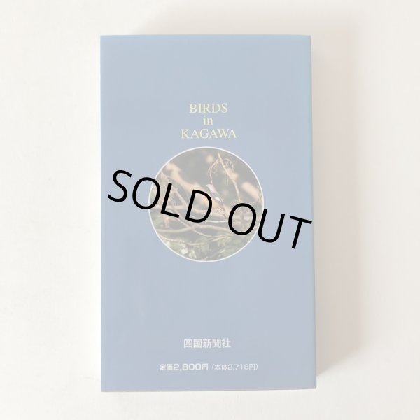 画像2: 香川の野鳥 ウオッチングガイド 四国新聞社 平成8年 香川県 (2)