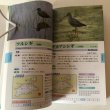 画像5: 香川の野鳥 ウオッチングガイド 四国新聞社 平成8年 香川県 (5)