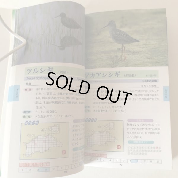 画像5: 香川の野鳥 ウオッチングガイド 四国新聞社 平成8年 香川県 (5)