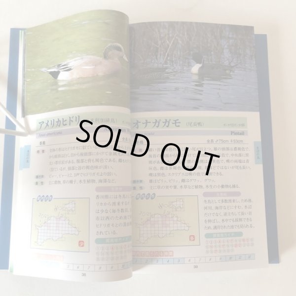 画像6: 香川の野鳥 ウオッチングガイド 四国新聞社 平成8年 香川県 (6)