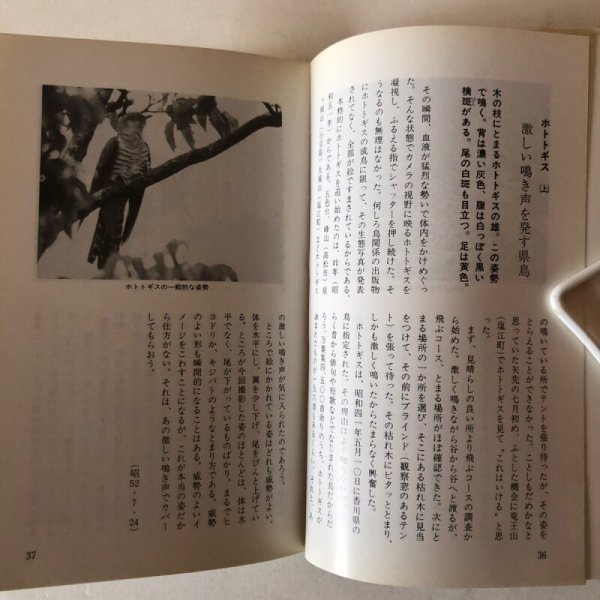 画像5: 香川の野鳥 市民文庫シリーズ11 山本正幸 昭和59年 高松市役所 (5)