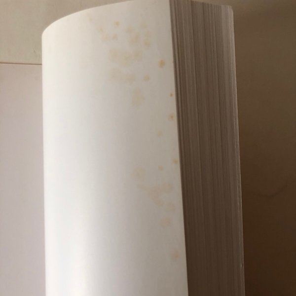 画像5: 古からのメッセージ 第３部〜第５部 香川県埋蔵文化財センター 平成24年 香川県　 (5)