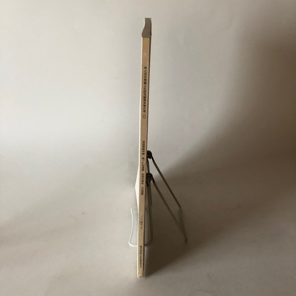 画像3: 武部製鉄所跡・奥ノ仁田遺跡・赤尾木城址・太田遺跡 西之表市埋蔵文化財発掘調査報告書（13）西之表市教育委員会 2004年 鹿児島県 (3)