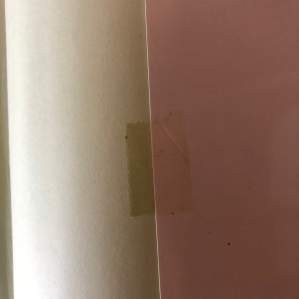 画像8: 仏生山の昔ばなし 2001年 橋本タカ子 香川県 (8)