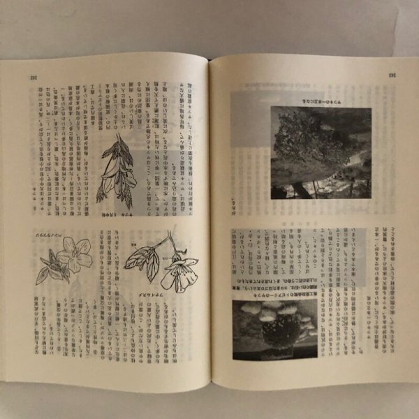 画像4: 栗林郷土誌 高松市立栗林公民館 万成社 平成8年 (4)