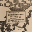 画像11: 香川県 野生植物図集 VOL.8 草本篇（6）1976年 香川県大手前高等（中）学校生物部 香川県 (11)