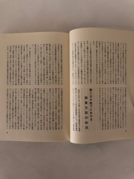 画像6: ドナルド&ジョン パプア・ニューギニア2青年の留学記録 よねもとひとし 昭和58年 厚仁病院 (6)