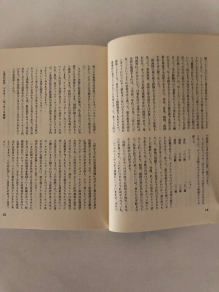 画像7: ドナルド&ジョン パプア・ニューギニア2青年の留学記録 よねもとひとし 昭和58年 厚仁病院 (7)