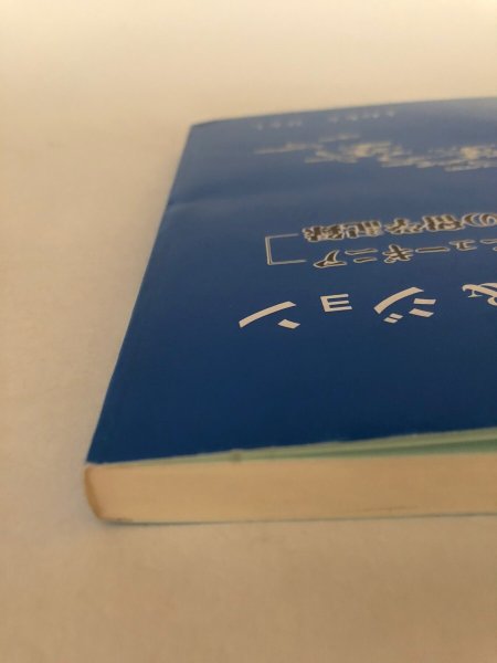 画像10: ドナルド&ジョン パプア・ニューギニア2青年の留学記録 よねもとひとし 昭和58年 厚仁病院 (10)