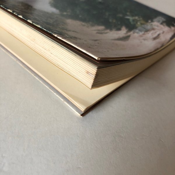 画像9: 南米を訪ねて 前川忠夫 1980年 香川県移住協会 (9)