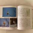 画像8: 香川の野鳥記 山本正幸 1992年 池上任 (8)