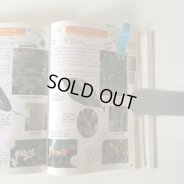 画像6: 葉で引く 四国の樹木 観察図鑑 松井宏光 2002年 四国新聞社 (6)