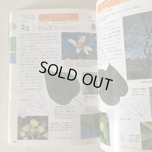 画像5: 葉で引く 四国の樹木 観察図鑑 松井宏光 2002年 四国新聞社 (5)