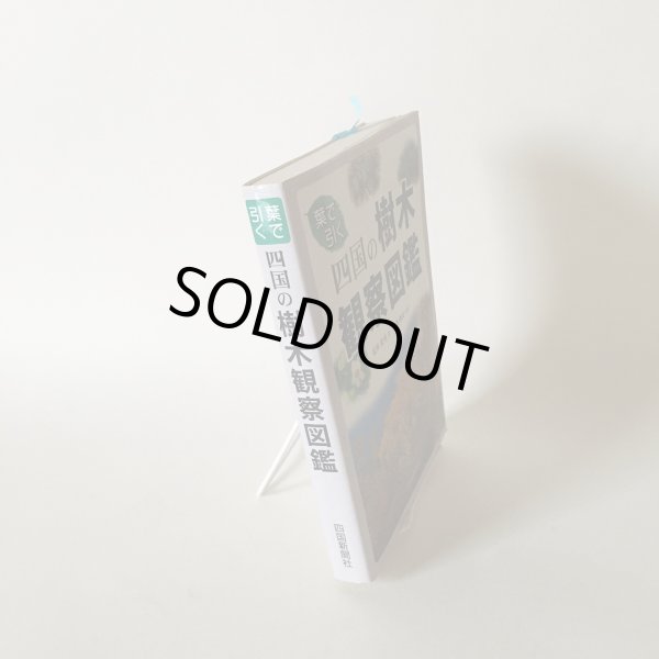 画像3: 葉で引く 四国の樹木 観察図鑑 松井宏光 2002年 四国新聞社 (3)