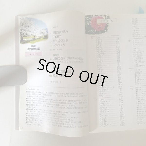 画像4: 葉で引く 四国の樹木 観察図鑑 松井宏光 2002年 四国新聞社 (4)