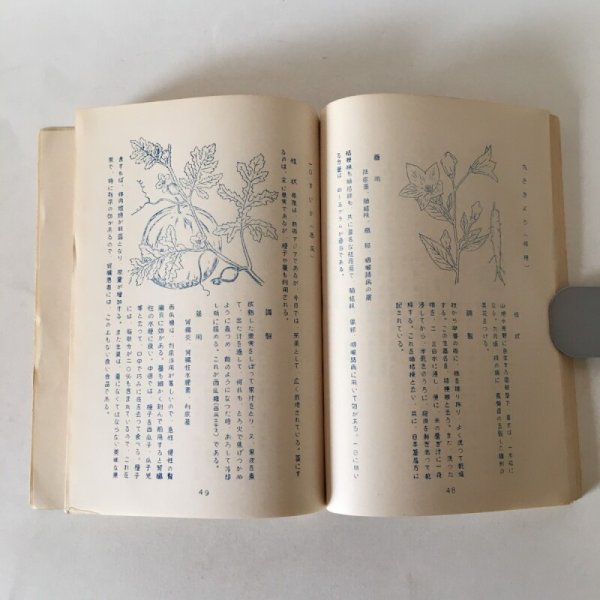 画像5: 壱岐薬用植物 品川鉄摩 1961年 壱岐植物研究会 (5)
