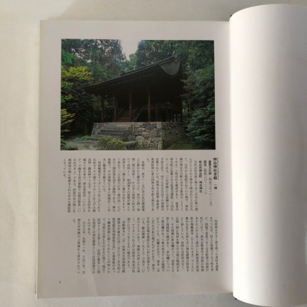 画像5: 香川の文化財 香川県教育委員会 香川県文化財保護協会 平成8年 (5)