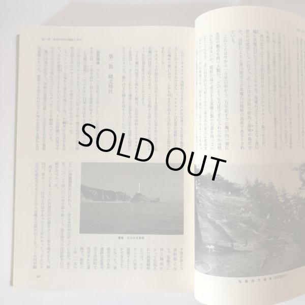 画像7: 町史 ことひら 1 自然・環境・生物・原始・古代・中世 編 琴平町史編集委員会 琴平町 平成8年  (7)