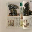 画像5: 香川の自然ガイドブック5 香川の保存木 香川県緑化推進委員会 財団法人 かがわ水と緑の財団 平成14年 (5)