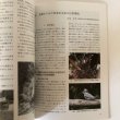 画像6: 香東川と暮らし 阿讃の山なみから瀬戸の海まで 香川町の民俗 10 香川町文化財保存会 平成22年 (6)