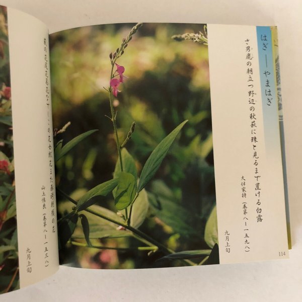 画像7: 写真集 万葉集の花たち 安川満俊 讃岐写真作家の会 平成15年  (7)