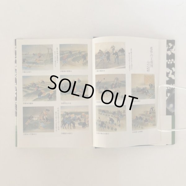 画像4: 藍の豪商 経営戦略と盛衰 泉康弘 徳島新聞社 平成3年 (4)