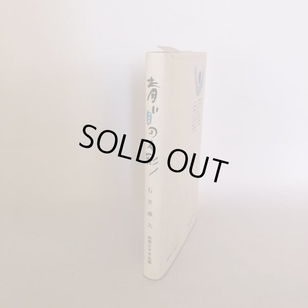 画像3: 青い目の人形 石井雍大 共同テレビ出版 1994年 (3)