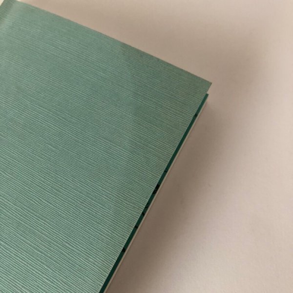 画像10: 小説 平賀源内 崎陽の光 藤井國夫 1996年  (10)