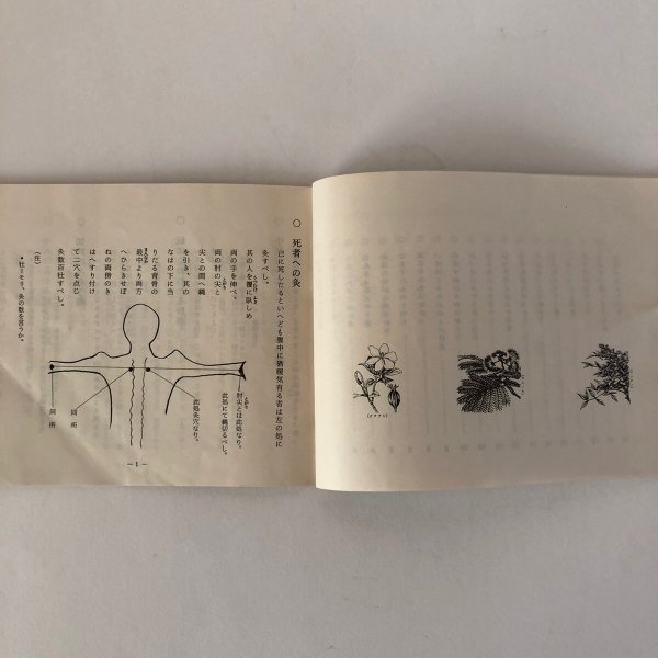 画像9: 平賀源内先生遺品 展示資料 昔の生涯の知恵 漢方薬のいろいろ 昭和61年 香川県志度町文化財保護協会 小野保 香川県 (9)