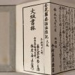 画像10: 複製 金毘羅参詣海陸記 解説付 1778年 今村美景  (10)