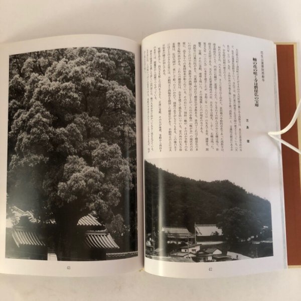画像7: 香川写真文庫(3)讃岐古寺巡礼・花の寺 讃岐写真作家の会 平成3年 岸本慶三郎 安川満俊 香川県   (7)