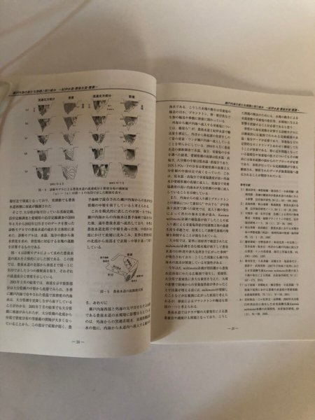 画像7: 瀬戸内海 2012年 No.64 瀬戸内海環境保全協会 園田竹雪  (7)